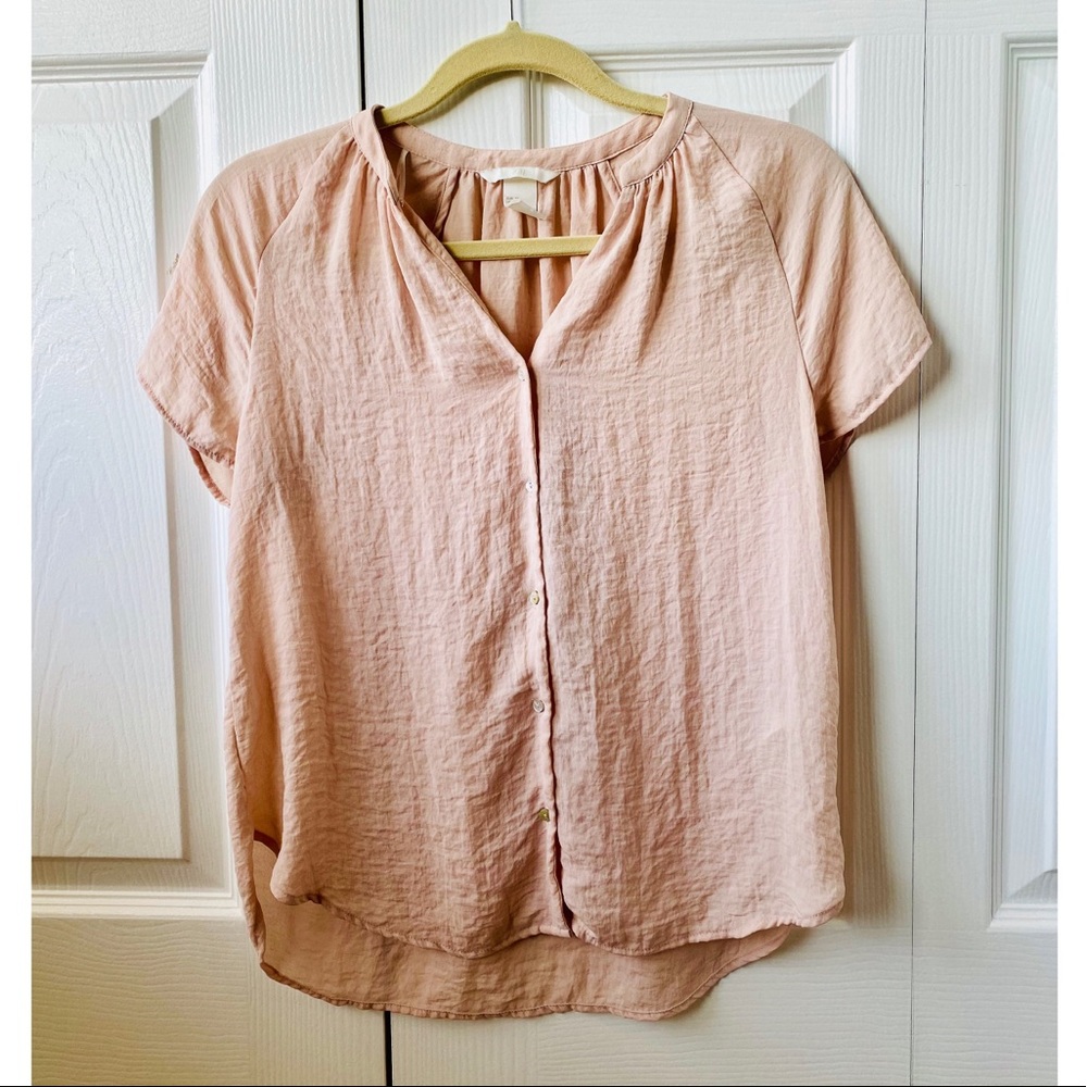 Sheer Pink H&M Blouse